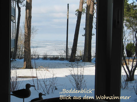 Blick auf die See vom Wohnbereich der Ferienwohnung Boddenblick
